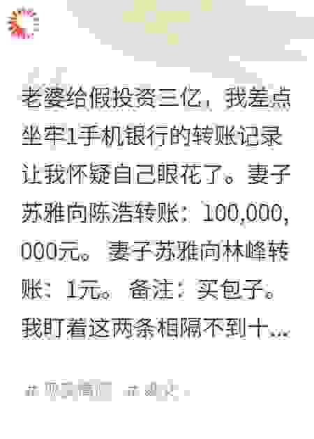 老婆给假投资三亿，我差点坐牢